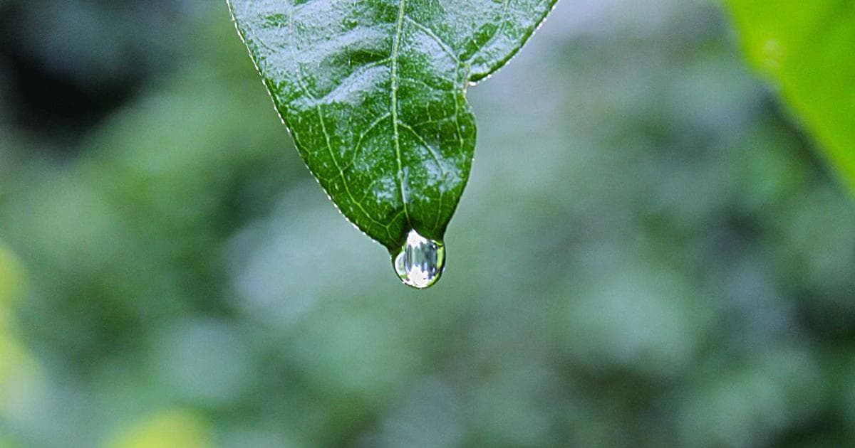 Étanchéité toiture terrasse : entretien, diagnostic et réparation