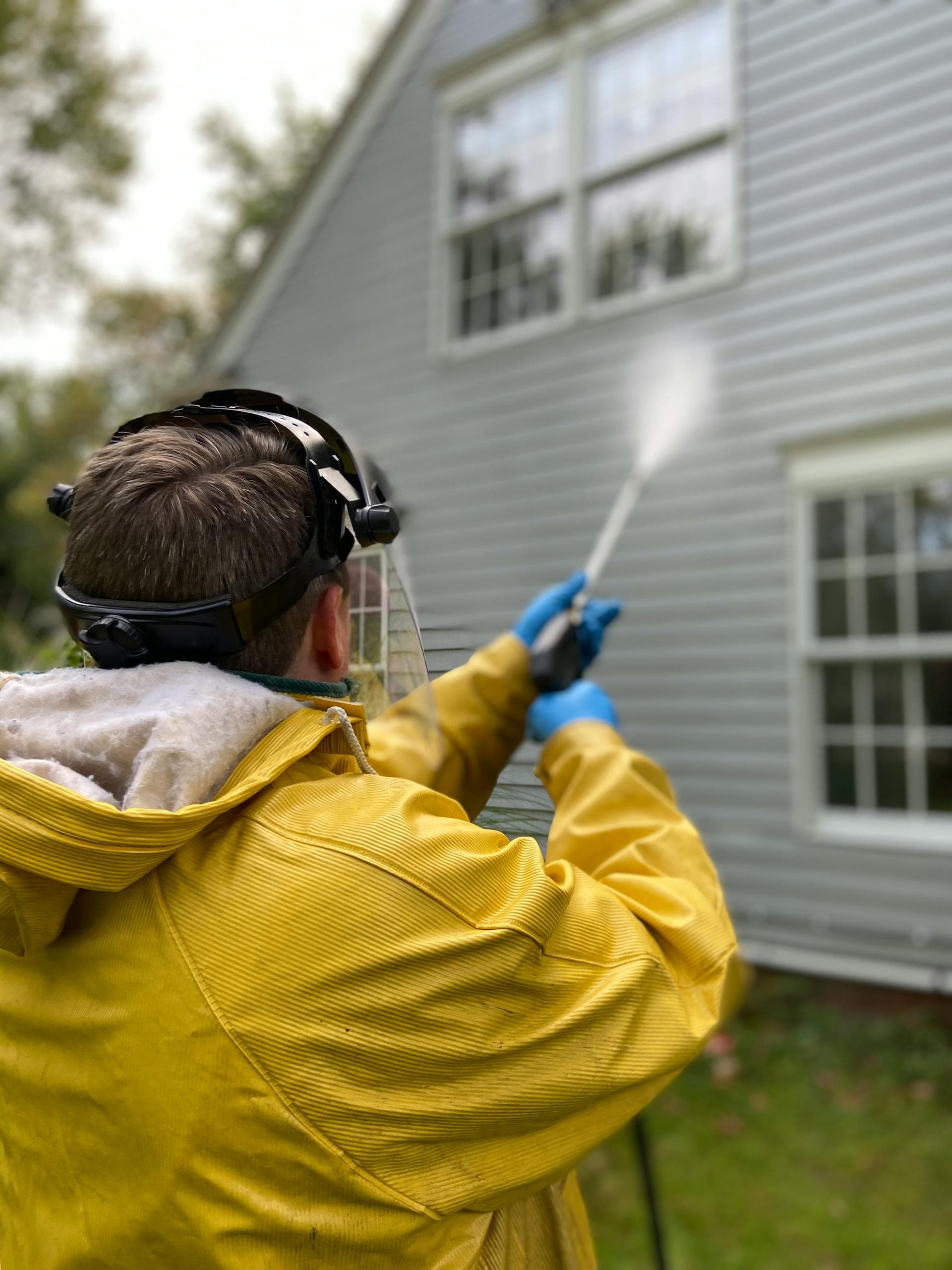 Démoussage de toiture : pourquoi, quand et à quel prix